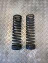 Rear coil spring