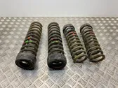 Rear coil spring