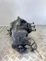 Rear differential