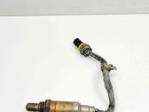Sonde lambda