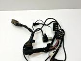 Other wiring loom