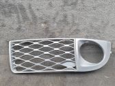 Front fog light trim/grill