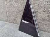 Rear door glass trim molding