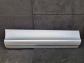 Rear door trim (molding)