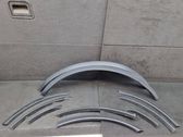 Fender trim (molding)