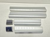 Front door trim (molding)