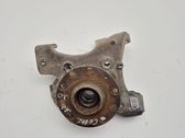 Rear wheel hub