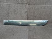 Rear door trim (molding)