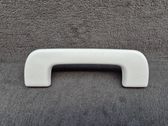 Front interior roof grab handle