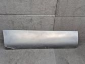 Rear door trim (molding)