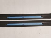 Front sill trim cover