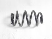 Rear coil spring