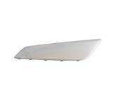 Fender trim (molding)