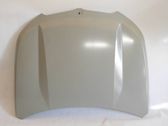 Engine bonnet/hood