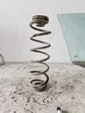 Rear coil spring