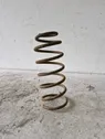 Rear coil spring