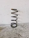 Front coil spring