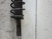 Front shock absorber with coil spring