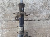 Amortiguador delantero con muelle espiral
