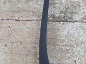 Windshield trim