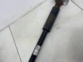Rear shock absorber/damper