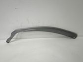 Windshield trim