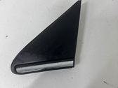 Fender trim (molding)