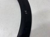 Fender trim (molding)