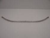 Front bumper support beam