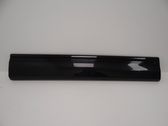Front door trim (molding)