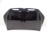 Engine bonnet/hood