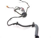 Other wiring loom