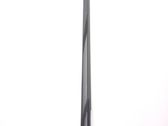Rear door glass trim molding