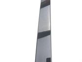 Rear side glass trim