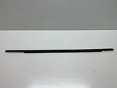 Rear door trim (molding)