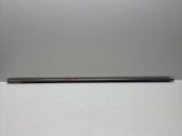 Front door glass trim molding