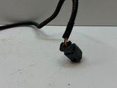 Other wiring loom