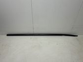 Listón embellecedor de la puerta delantera (moldura)