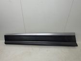Listón embellecedor de la puerta delantera (moldura)