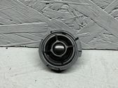 Panel speaker
