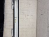 Rear door window curtain/sunshade