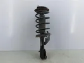 Front shock absorber with coil spring