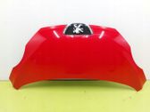Motorhaube