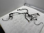 Front door wiring loom