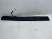 Rear door trim (molding)