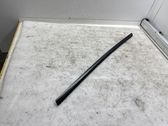 Front door trim (molding)