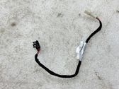 Rear door interior light