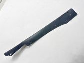 Other front door trim element