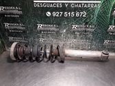 Amortiguador trasero
