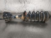 Rear shock absorber/damper